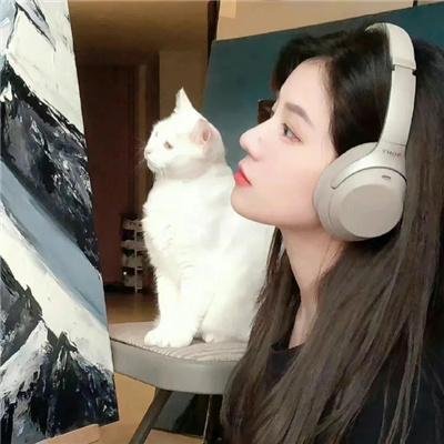 南极穿越